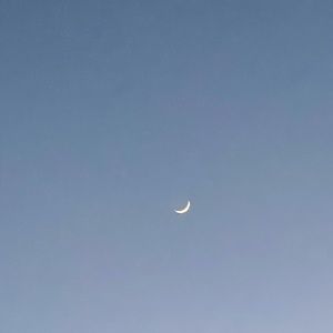 Meet your Posher, Ally